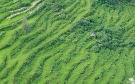 Betriebliches-Gesundheitsmanagement