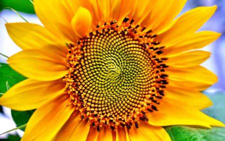 Coaching und Beratung