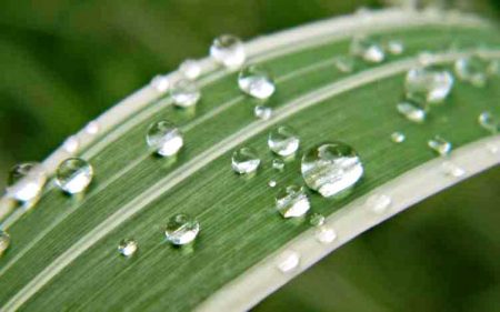 Ressourcen-Resilienz