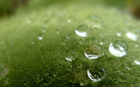 Gesundheitsmanagement